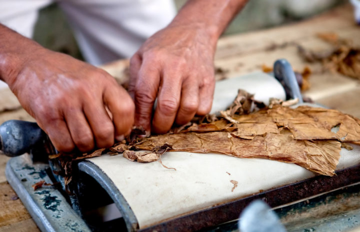  handmade cigars 